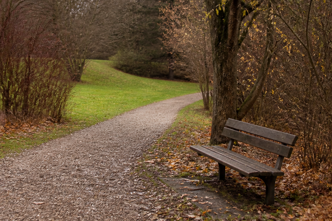 Ruhiger Kiesweg durch einen Park mit Herbstlaub